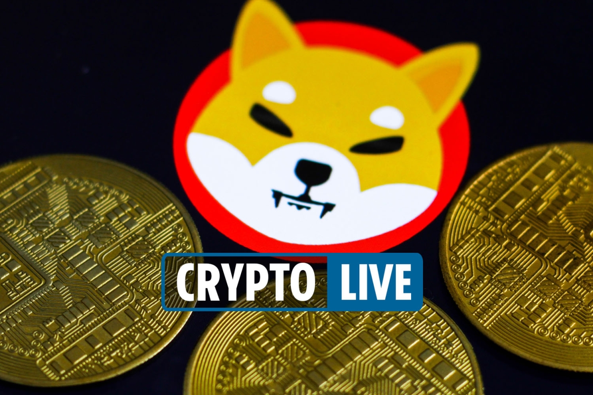 Cryptocurrency price today LIVE – Shiba Inu coin Bitcoin