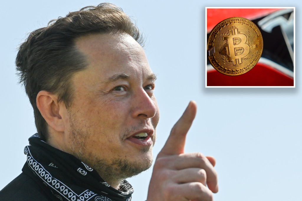 Elon Musk addresses mystery of bitcoin creators identity