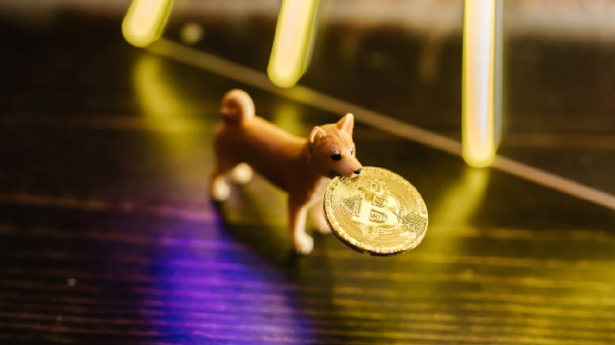 Shiba Inu Defeats Bitcoin, Ether to Rank as Most Popular Crypto of 2021 on CoinMarketCap Index